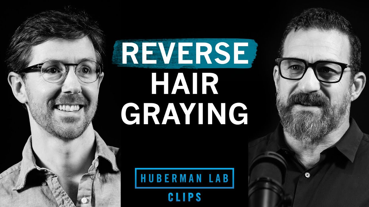 Reverse Hair Graying Naturally: The Science of Recovery